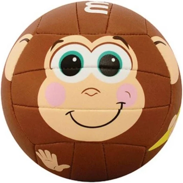 Molten Recreational Outdoor/Indoor Volleyball