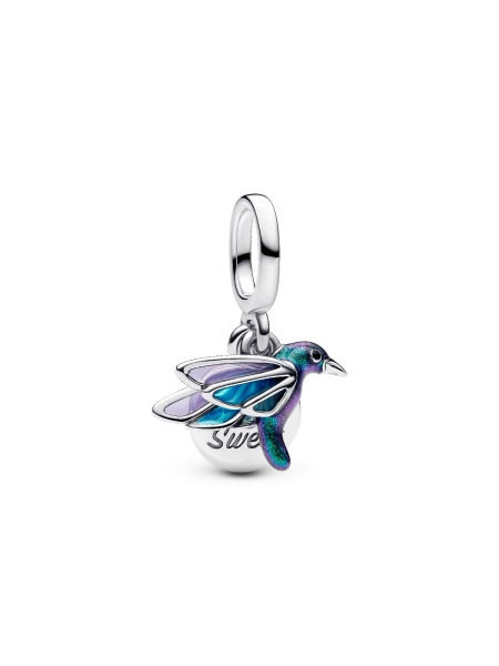 Kolibri Doppelter Charm-Anhänger