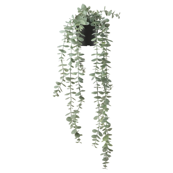 FEJKA Artificial potted plant - indoor/outdoor hanging/eucalyptus 3 ½ "