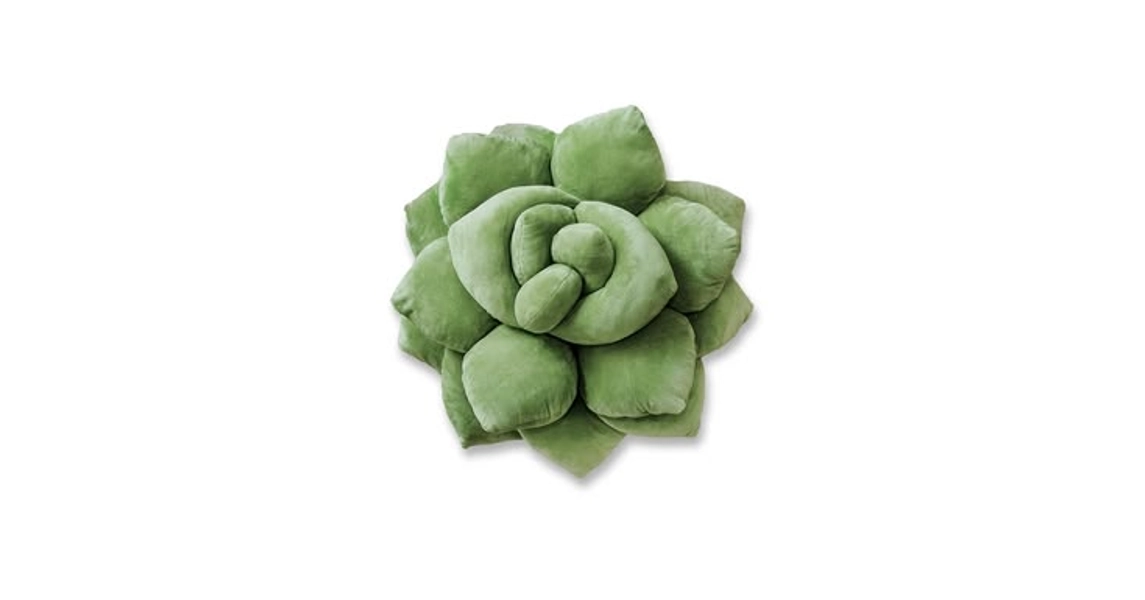 Bedroom items png | Cactus png room, Bedding items png, Products