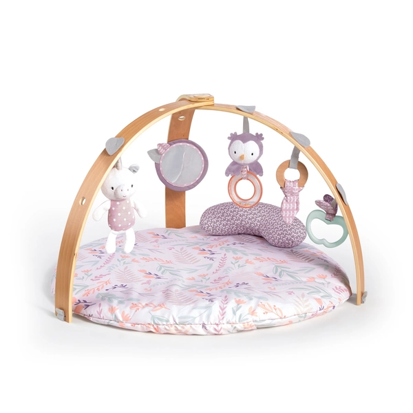 Ingenuity Cozy Spot Reversible Gym Calla