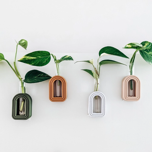 Arched Propagation Vases