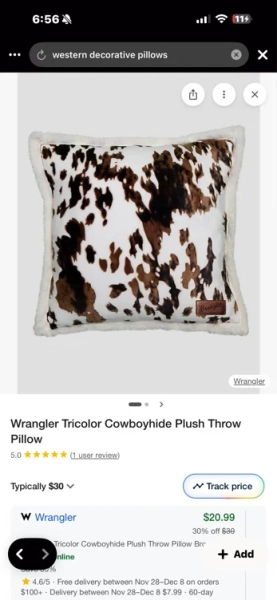 decorative pillow 