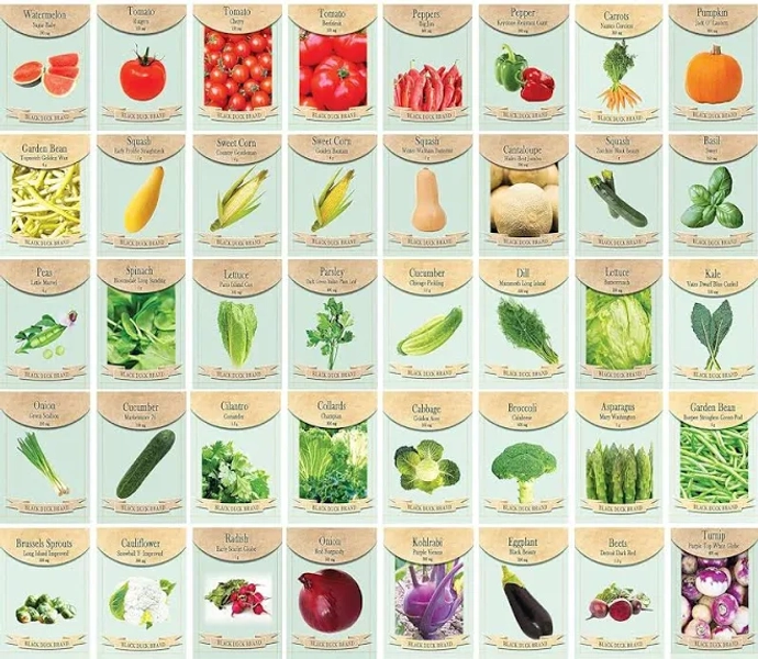 Set of 40 Assorted Vegetable Packets with Beginners Growing Guide and Mylar Storage Bag