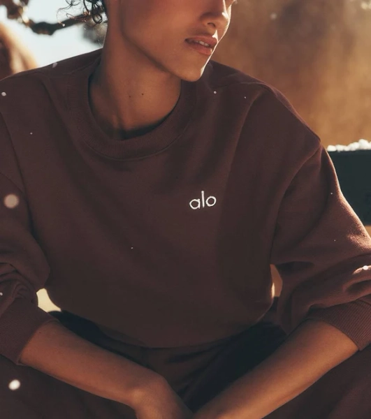 Alo Accolade Crewneck Neck Pullover Top