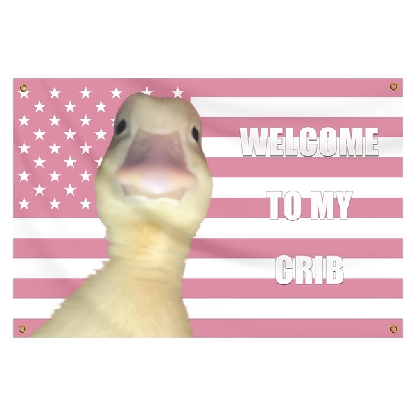 1pc, 2X3 Feet Welcome to My Crib Pink American Flag Humorous Poster Cool Banner Made of Durable Fabric for Decorating Indoor And Outdoor Spaces, Suitable for College Dorm Rooms, Parties, Travel, Filming Events, Festivals