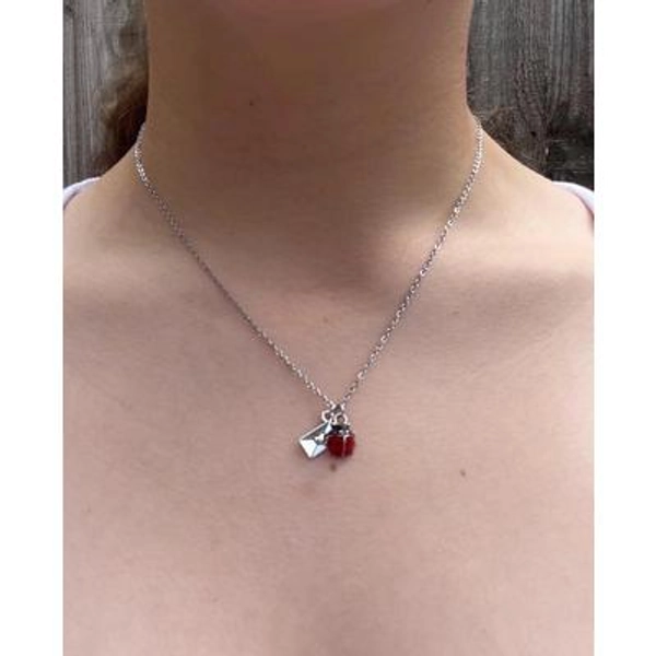 Stainless Steel Ladybird Necklace - Love Letter Envelope Charm