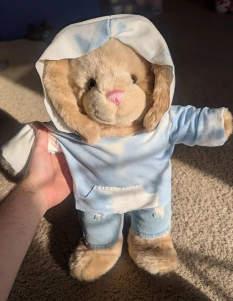 Custom Build-A-Bear Plush Hoodie - Handmade 15-16′′ Stuffed Animal Sweatshirt - Personalized Bear Clothes
