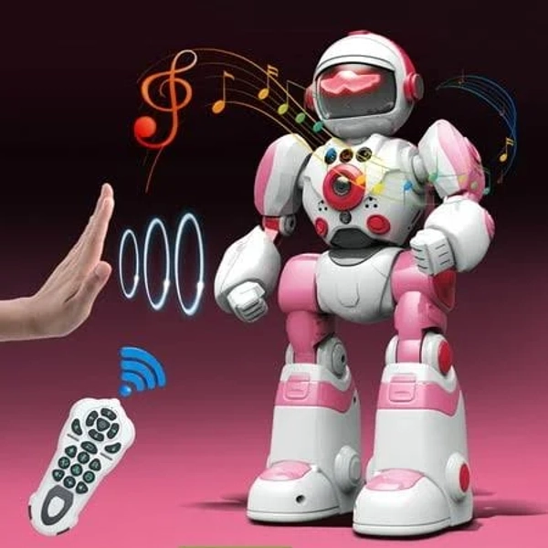 Programmable RC Robot