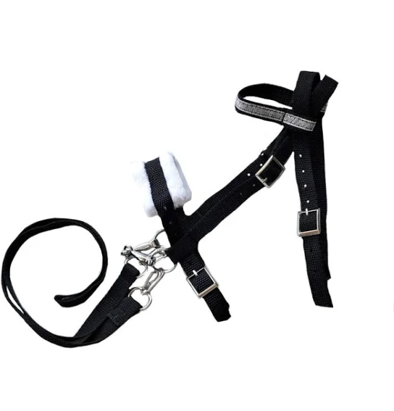 Hobby Horse Bridle