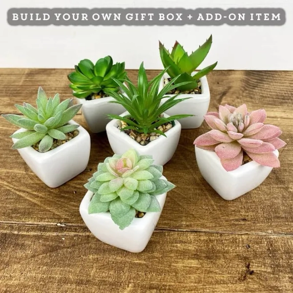 Make Your Own Gift Set, Succulent Gift Box, Care Package, Thinking Of You Gift, Plant Gift Box, Custom Gift Basket, Thank You Gift Box