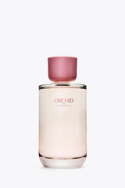 ORCHID EDP 180 ML (6,08 FL. OZ).