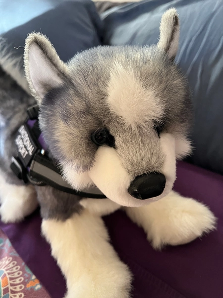ESSA Husky Dog Emotional Support Plush Stuffed Animal Personalized Gift Toy