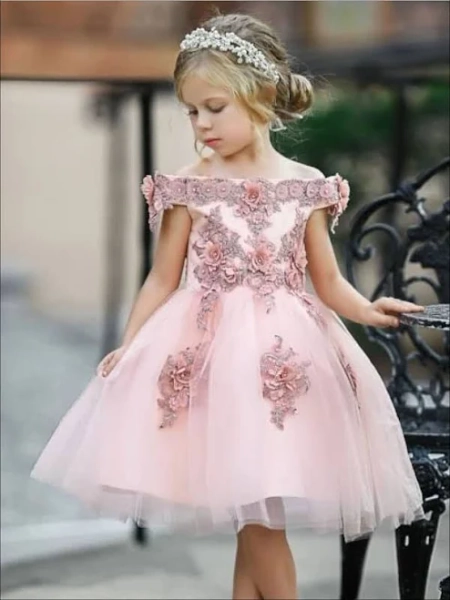 Little Girls Off Shoulder Embroidered Princess Dress