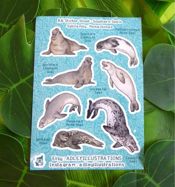 Southern Seal Species Sticker Sheet