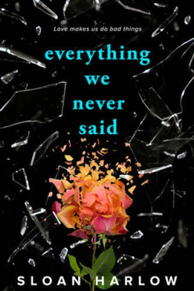 Everything We Never Said - VERY GOOD
