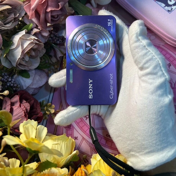 SONY Cyber-shot DSC-W570 Digital Camera 16.1 MP 5x Optical Zoom English Language
