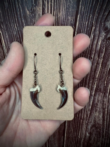 Bone earrings - coyote claws - claw earrings