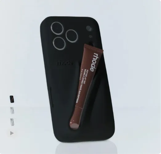 lip case