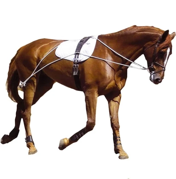 Kincade Lunging Training System