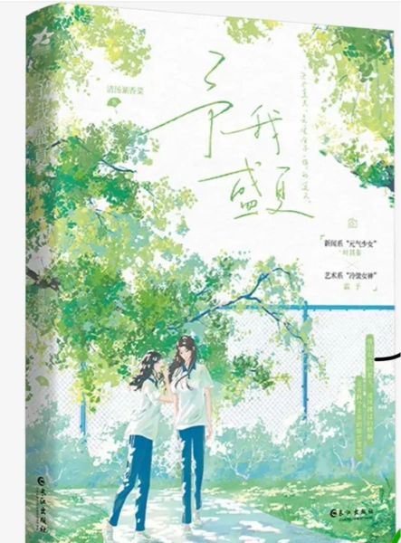 gib chinesische version mittsommer books media - Temu Germany