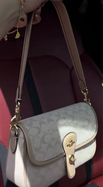Stone Hadley Shoulder Bag