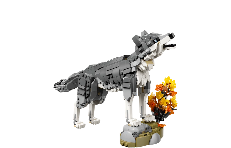 Forest Animals: Gray Wolf
