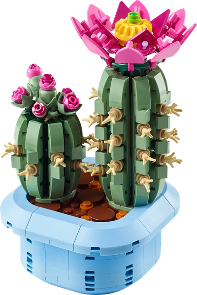 Flowering Cactus