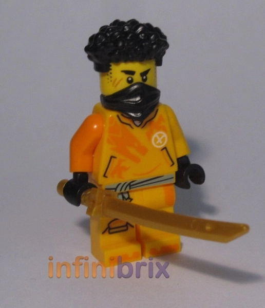 Lego Arin Minifigure from Exclusive Book Ninjago NEW njo868