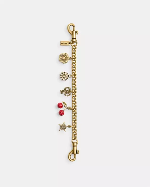 Brass/Multi Crystal Motif Chain Bag Charm