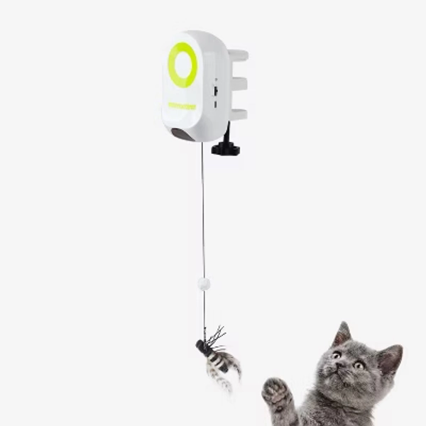 Allforpaws Interactives Cat Toy, Cat Yoyo Bug, Halloween Pet Toy