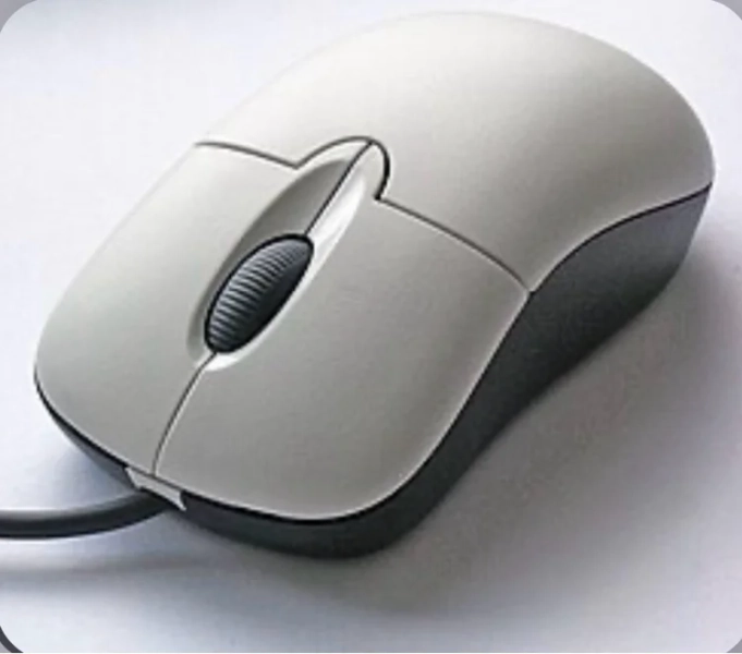 computer mouse - any