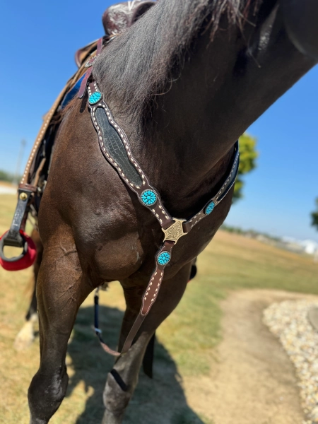 Black Croc Inlay with Turquoise Breastcollar