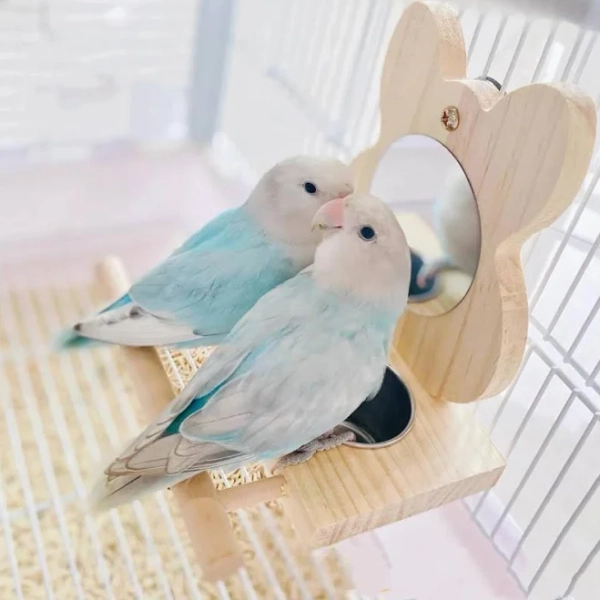 Rabbit Mirror Parrot Toy