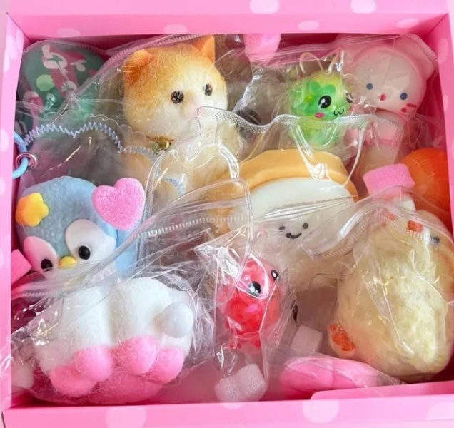 Fidget Squishy Stress Relief Toy Hand Curated Gift Box