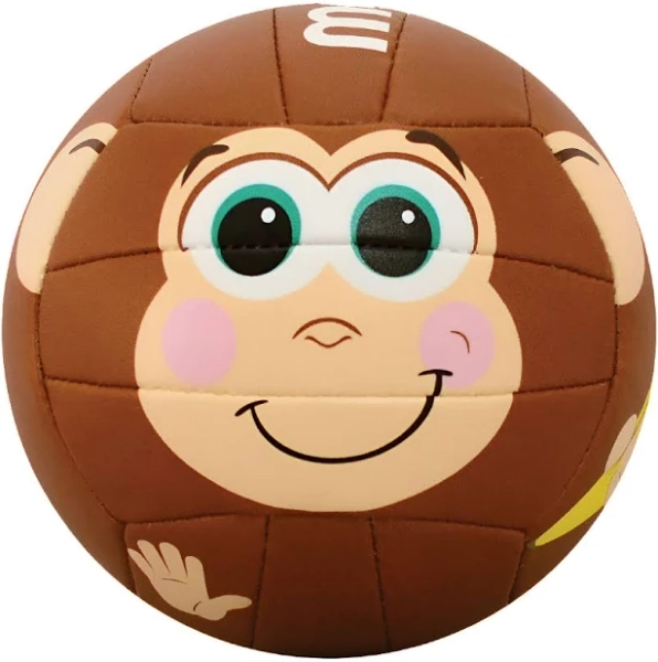 Molten Recreational Outdoor/Indoor Volleyball