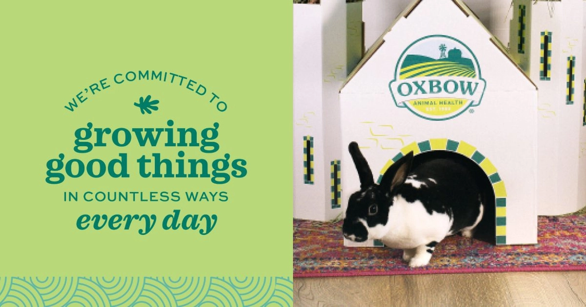 Treats for Small Animals | Shop Oxbow Products Today