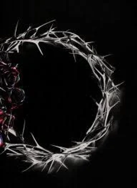 The Rose - Dual (Deluxe Box Album) Dusk