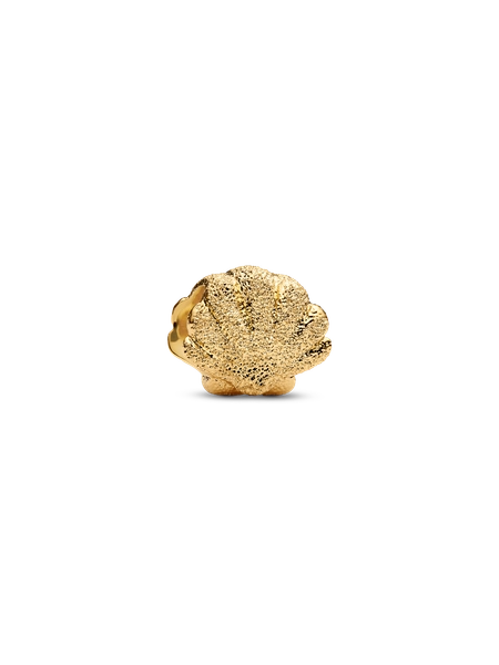 SHELL CHARM