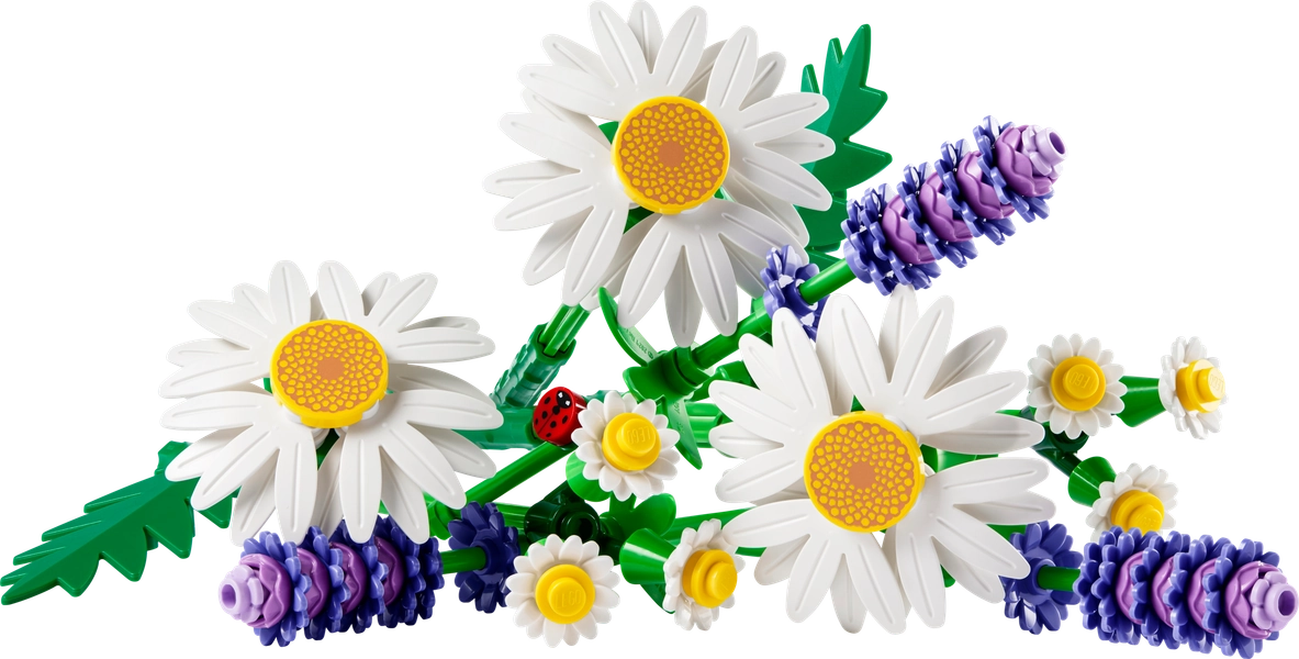 Daisies