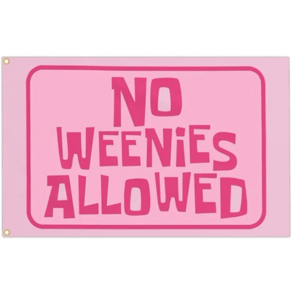 No Weenies Allowed Flag Tapestry Pink Funny Flags for Teen Girls Room Bedroom College Dorm Meme Flags Man Cave Wall Art Decor Banner Gifts for Outdoor