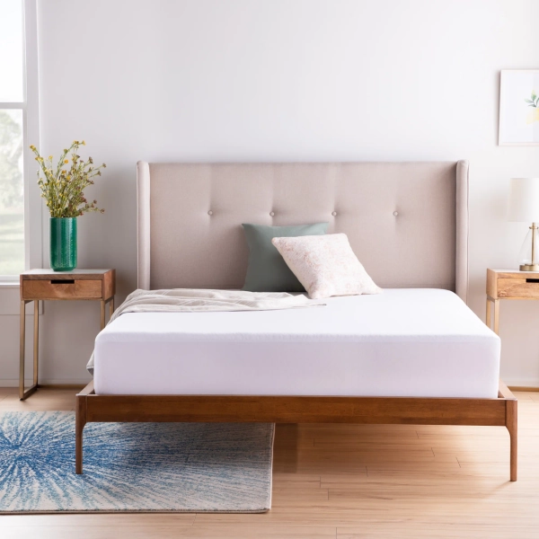 Mattress Protector
