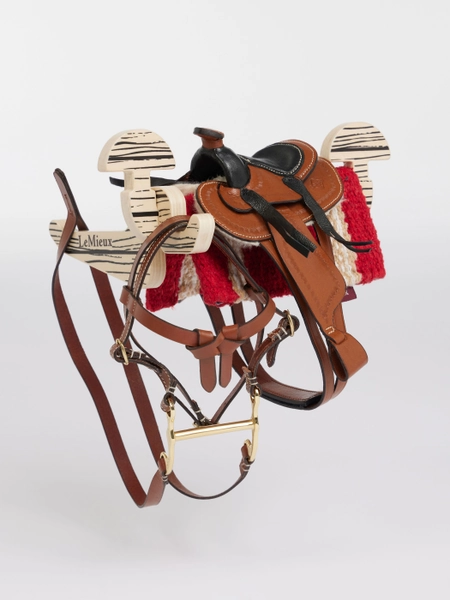 Toy Pony Western Gift Set