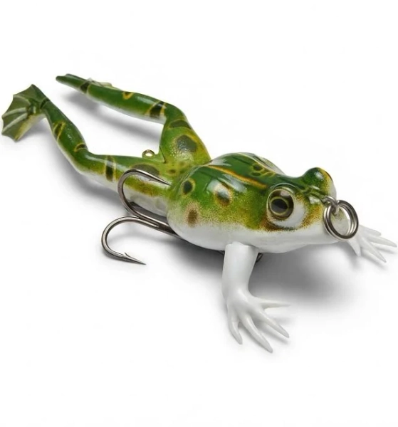 Frog Family Frog