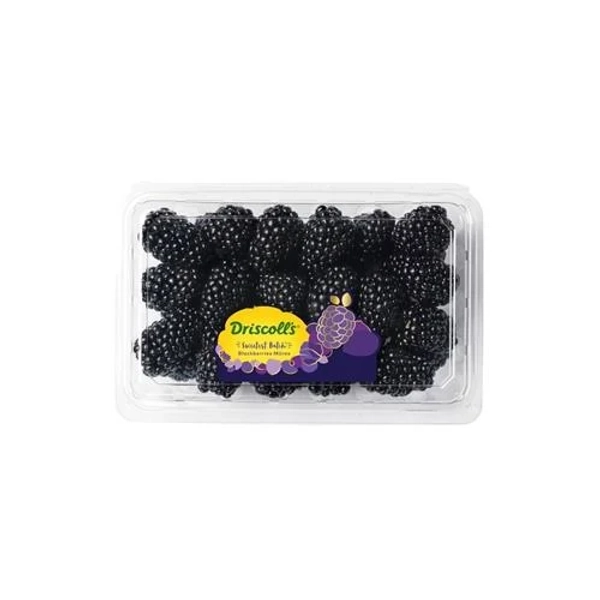 Driscoll's Sweetest Batch Blackberries