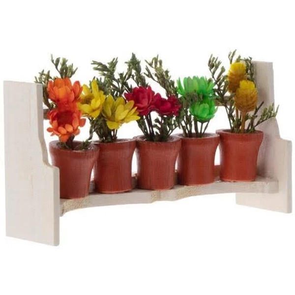 Miniature Potted Plants & Rack