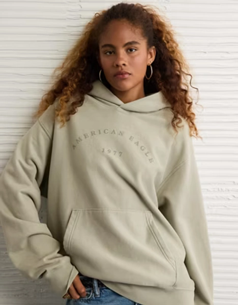 AE Laidback Luxe Heavyweight Graphic Hoodie