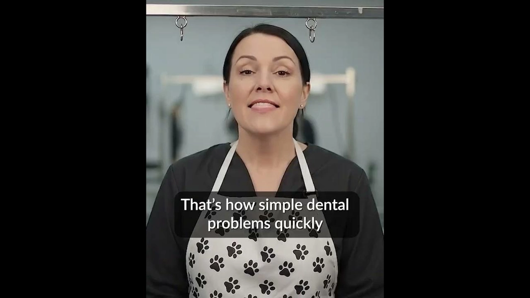 v0462 [CC] - ID1125721 cvTeethStainsGroomer h13296 wAlec spAIDogGroomer tNN eDanilo d4x5