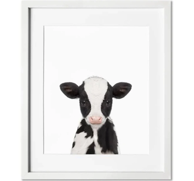 Baby Cow Art Print