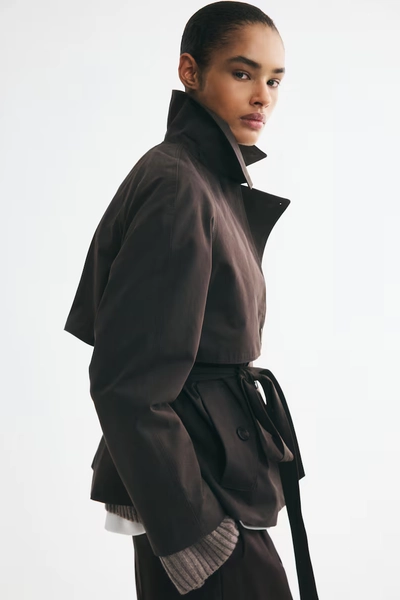 Short tie-belt trench coat - Dark brown
